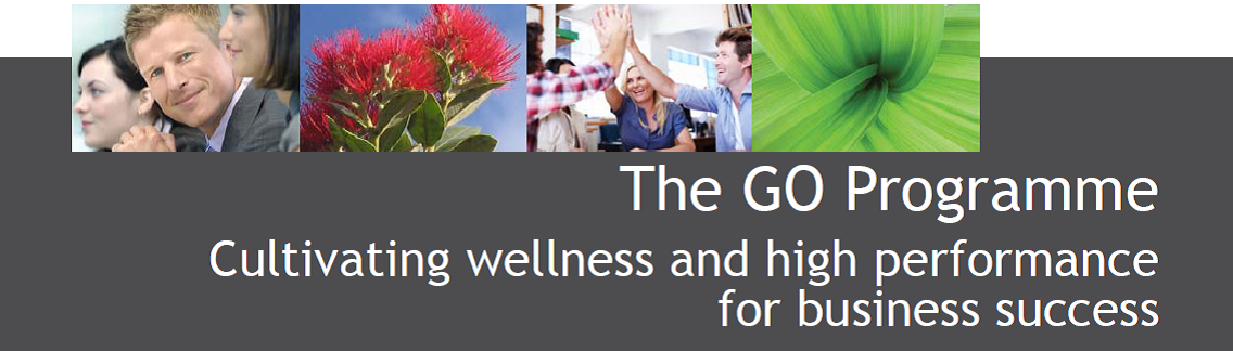 The GOProgramme